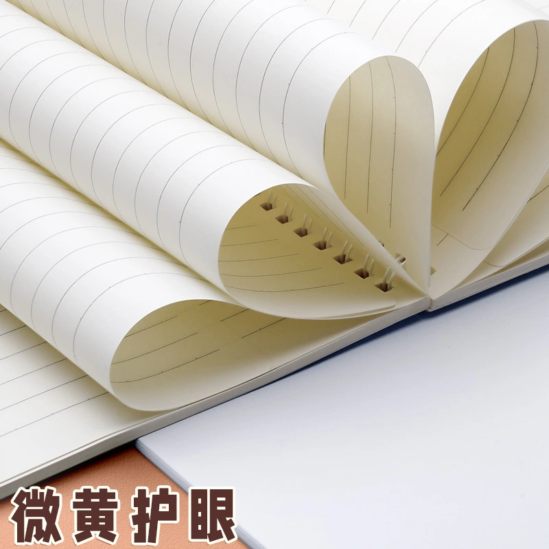 Inner paper of the College Ruled Spiral Notebook