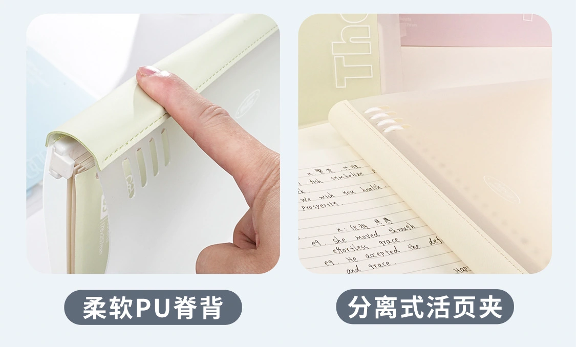 Ring Binder Loose Leaf Notebook inner page detail